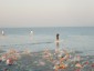 [img: 110827-0603_Podersdorf 004.JPG]